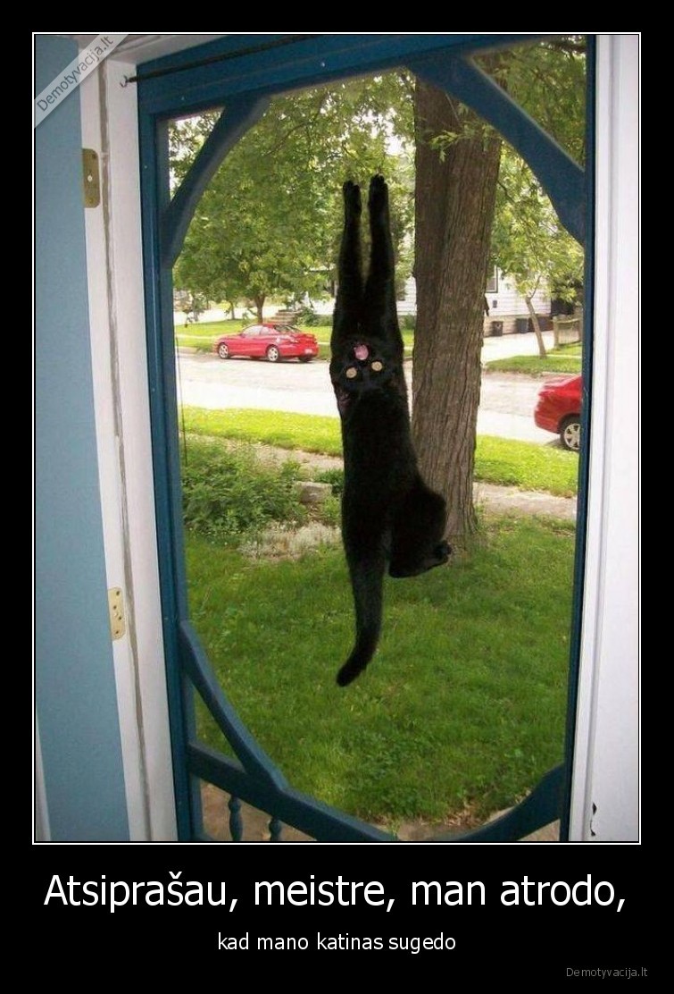 katinas,sugedo,reikia,taisyti
