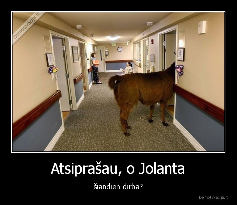 asilas,jolanta,darbas,ligonine