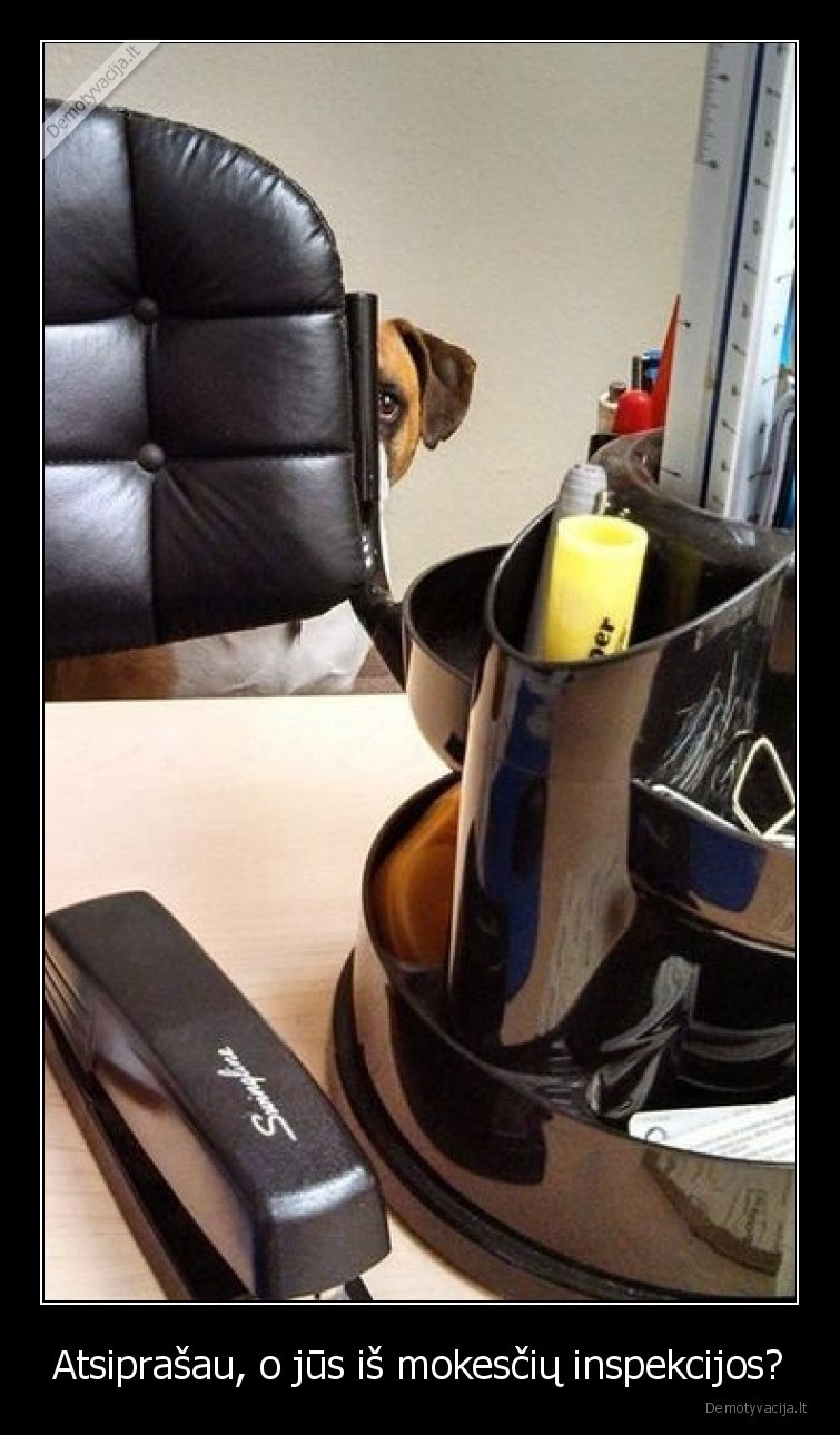 mokesciai,inspekcija,suo,issigando