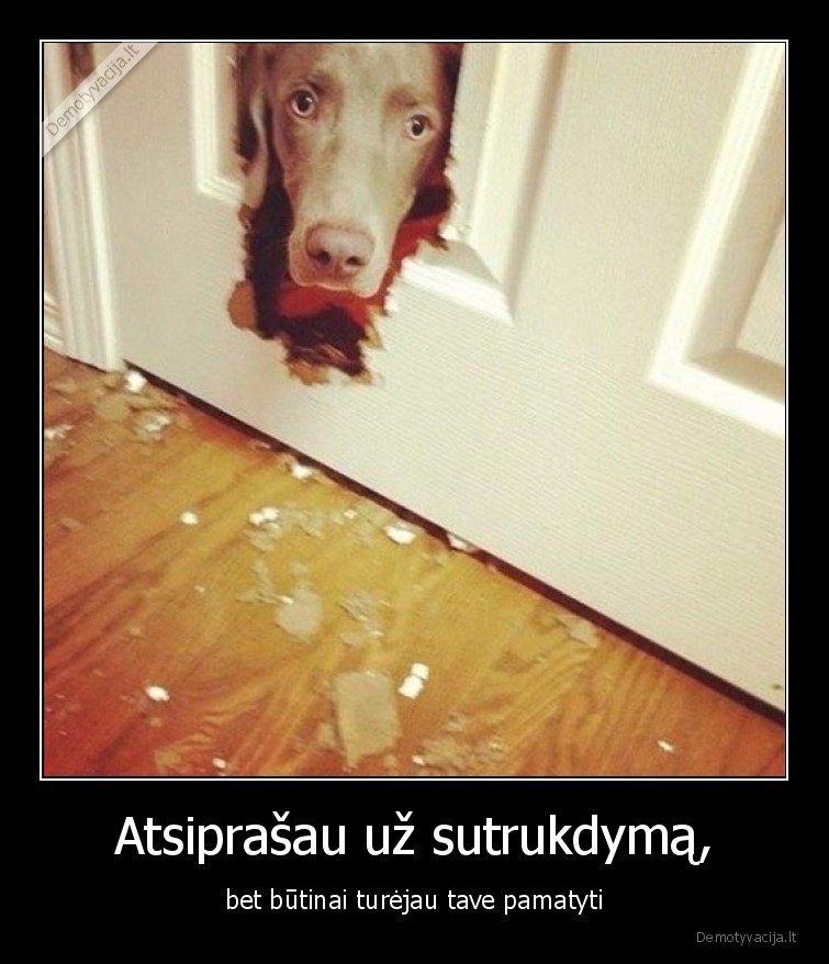 suo,sutrukdymas,durys,skyle