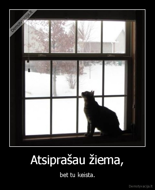 atsiprasymas,ziema,keista