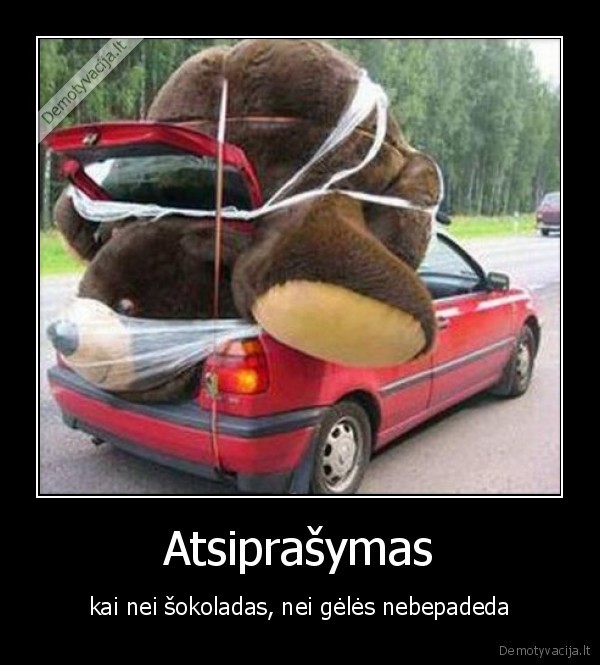 zaislas,meskinas,vezti,masina,atsiprasymas