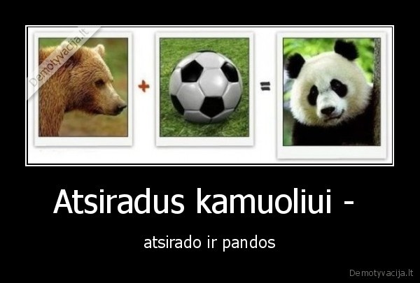 panda,citatos24.lt,kamuolis