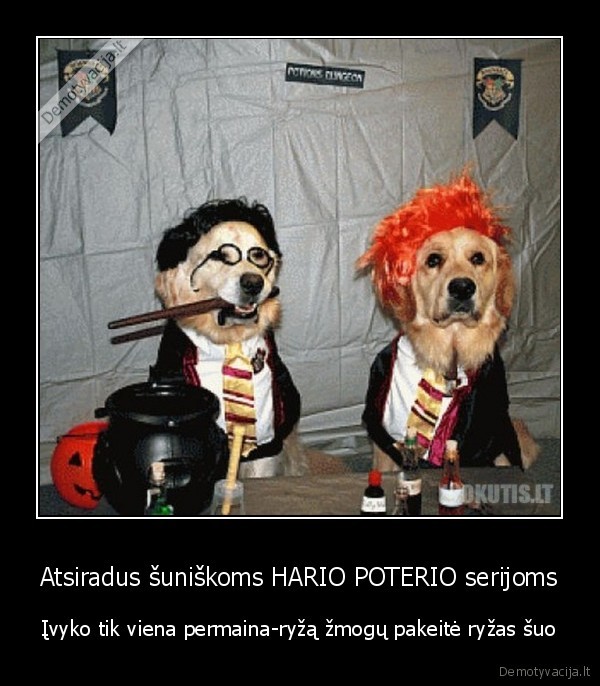 ryzas,suo,haris,poteris