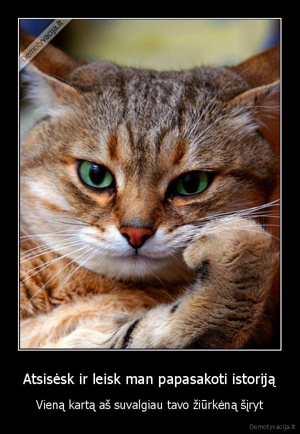 Atsisėsk ir leisk man papasakoti istoriją