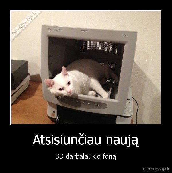 wallpaper,katinas,kompiuteris,ekrano, fonas,3d