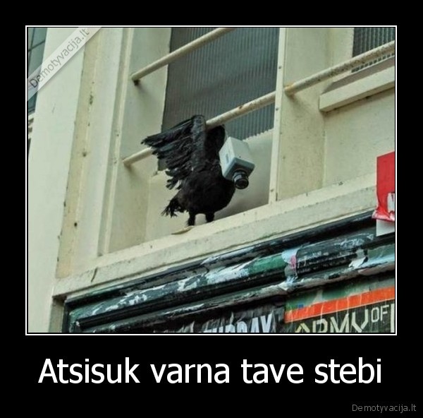 Atsisuk varna tave stebi