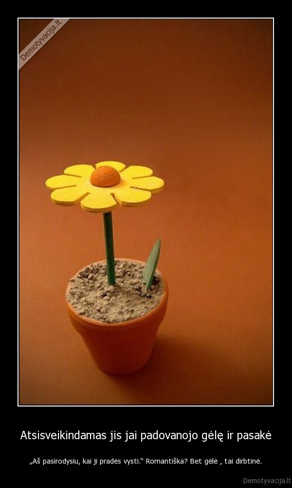 Atsisveikindamas jis jai padovanojo gėlę ir pasakė