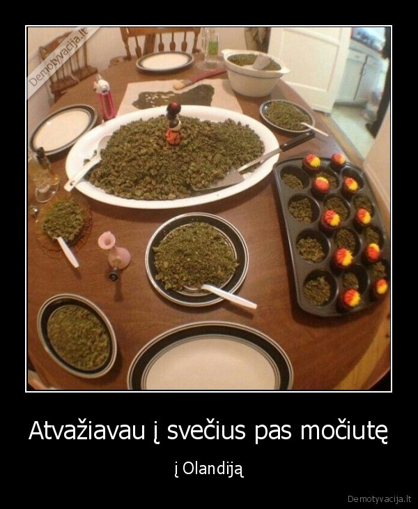 olandija,mociute,zole