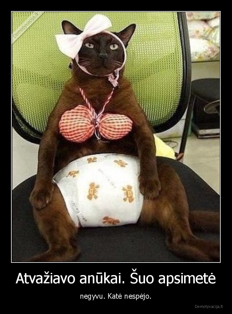 anukai,suo,kate,mociute,kaimas