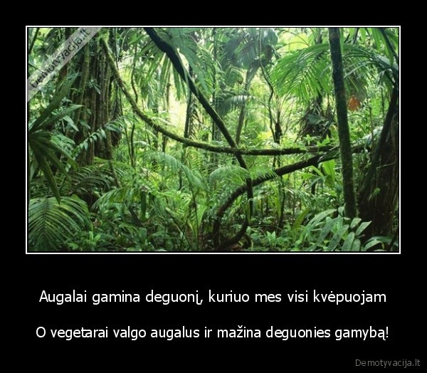 vegetarai,augalai,deguonis