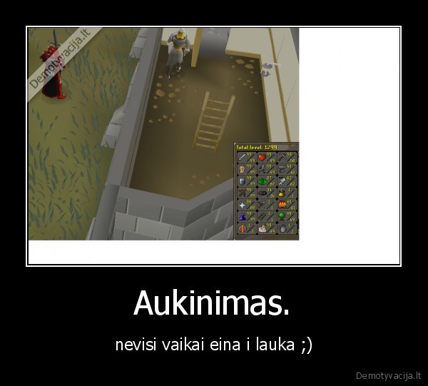 Aukinimas.