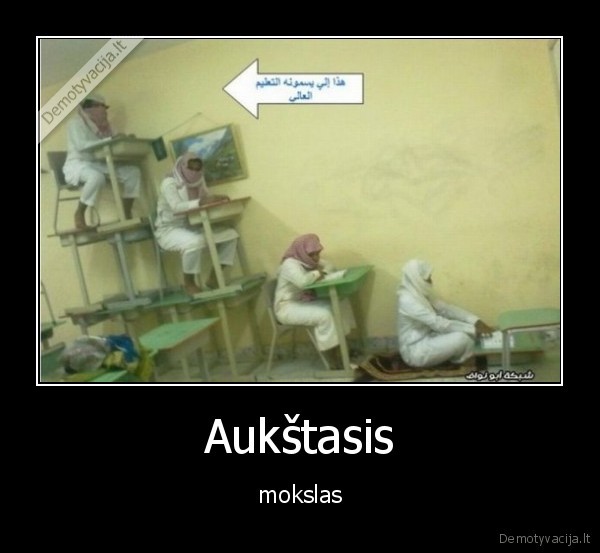 mokslas,aukstasis