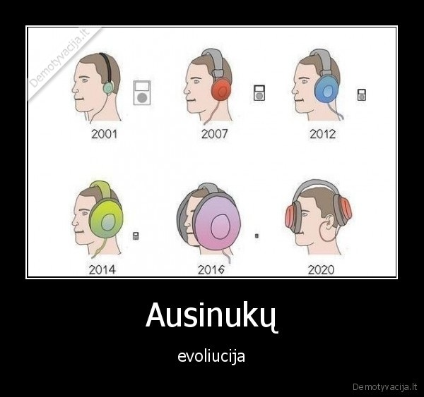 ausinukai,evoliucija