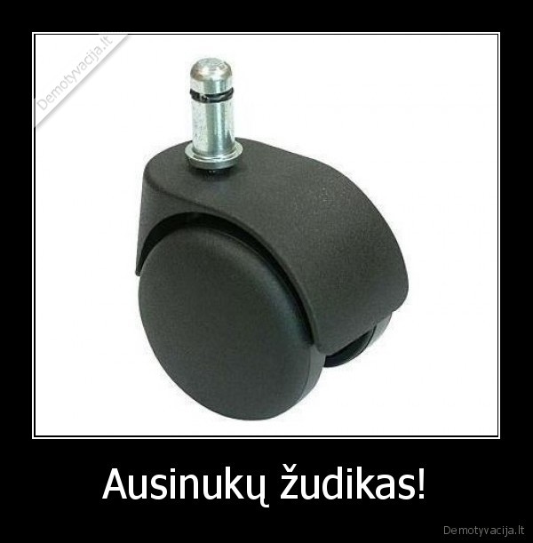 ausinukai,kede,uzsipainiojo,suplese,zudo, ausinukus