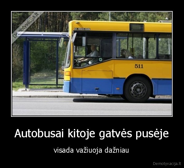 autobusai,kita, gatves, puse