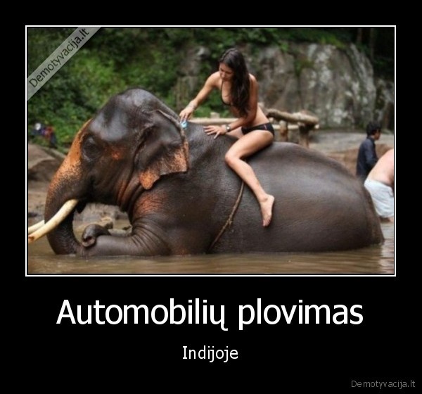 indija,plauna, drambli,automobilio, plovimas