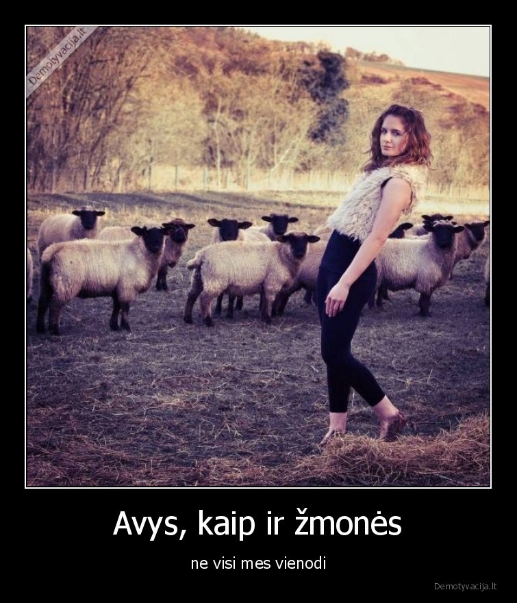 zmones,avys