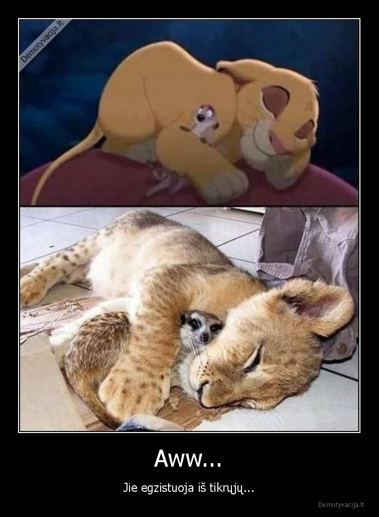 miela,liutas, karalius,egzistuoja