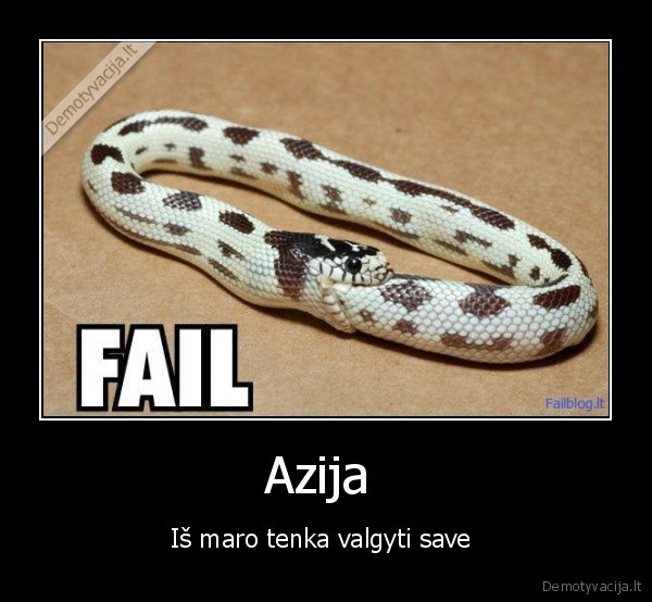 Azija 