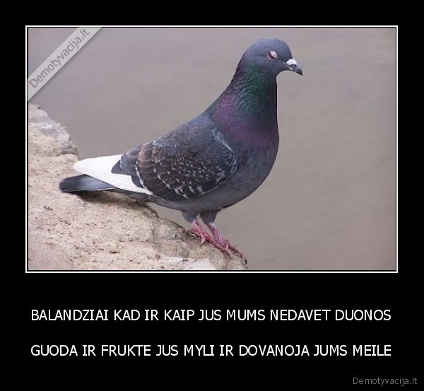 BALANDZIAI KAD IR KAIP JUS MUMS NEDAVET DUONOS