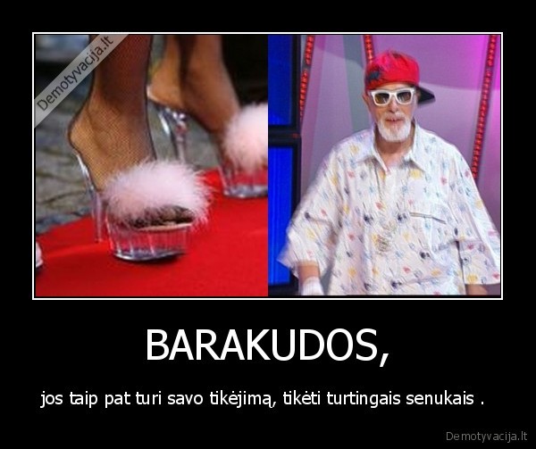 diedukai,barakuda,turtas, 