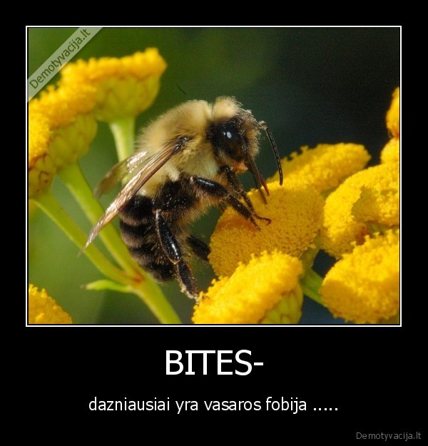 BITES-