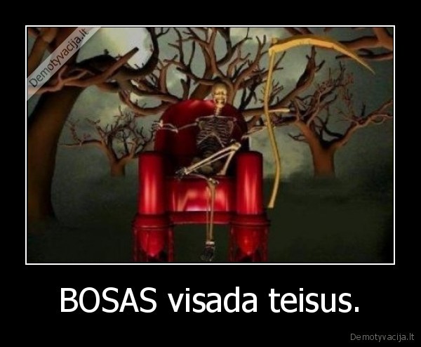 BOSAS visada teisus.