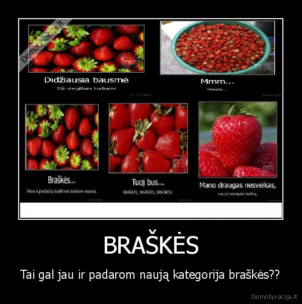 braskes