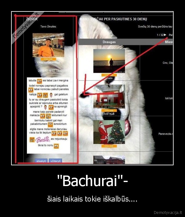 bachurai