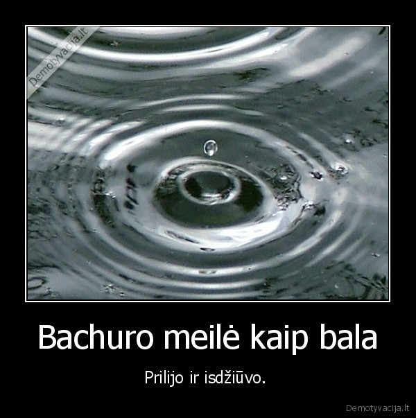 Bachuro meilė kaip bala