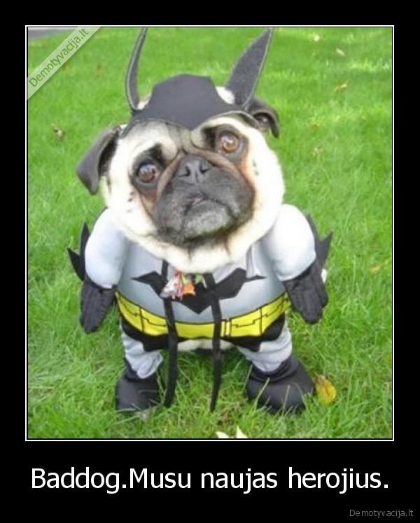Baddog.Musu naujas herojius.