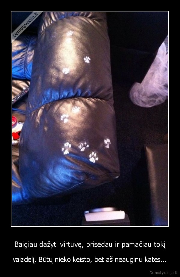 kates, pedos,pedsakai