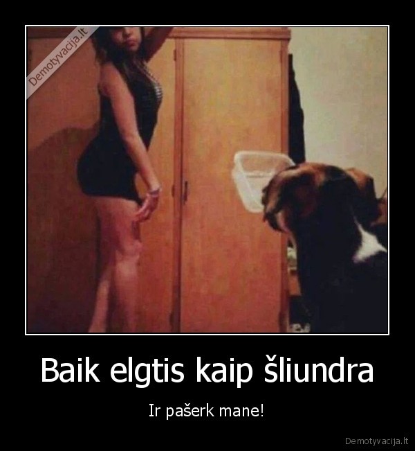 alkanas, suo,kvaila, merga