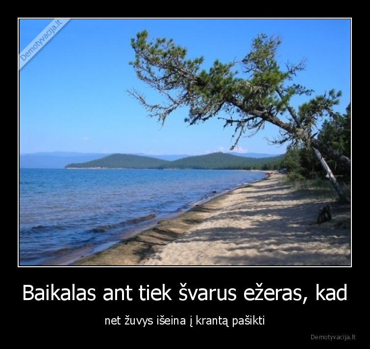 baikalas,zuvys,svara