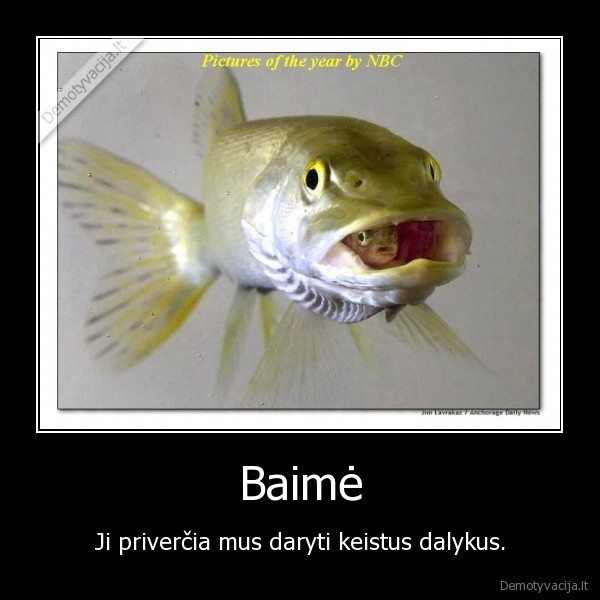 baime,zuvys,burna,nasrai