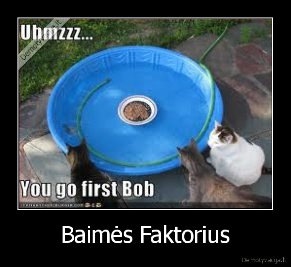 Baimės Faktorius