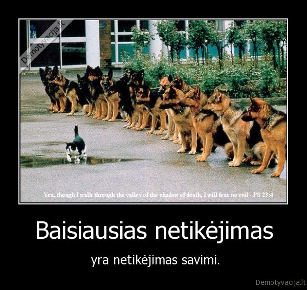 pasitikejimas, savimi, tikejimas