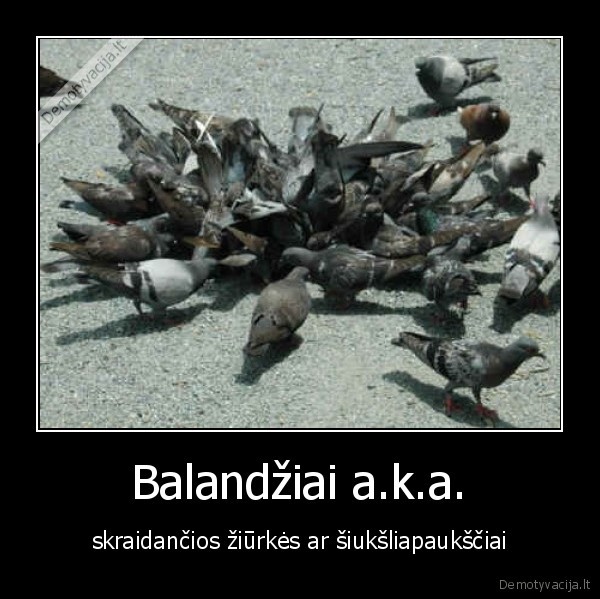 balandziai