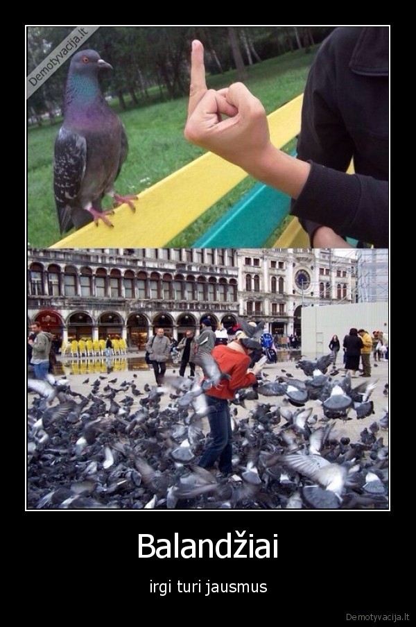 balandziai