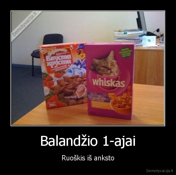 balandzio, 1, pokstas,balandzio, 1,kaciu, maistas,sausi, pusryciai