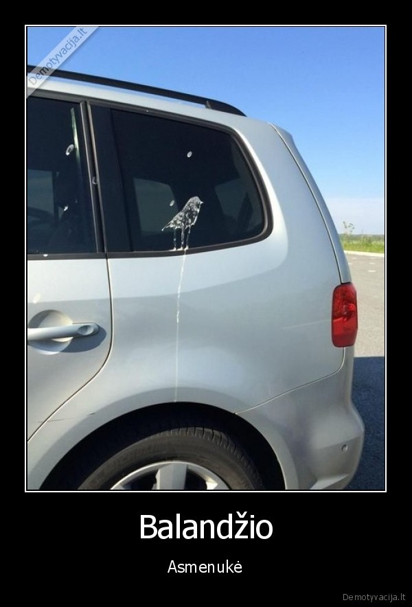 apsiko, masina,paukscio, sudas