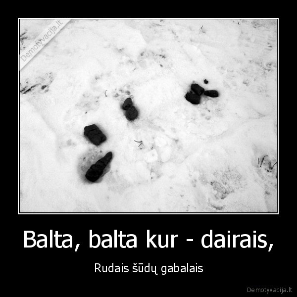 sika,kaip,reikiant,smirda,balta,sniegas