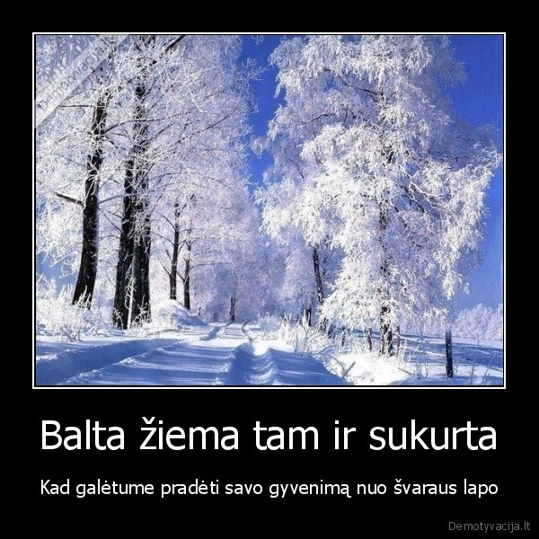 baltas, gyvenimo, lapas,balta, ziema