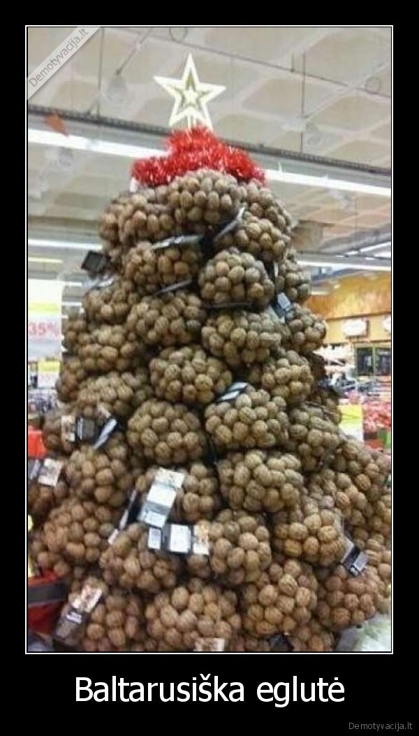 cia,net,ne,bulves,lol