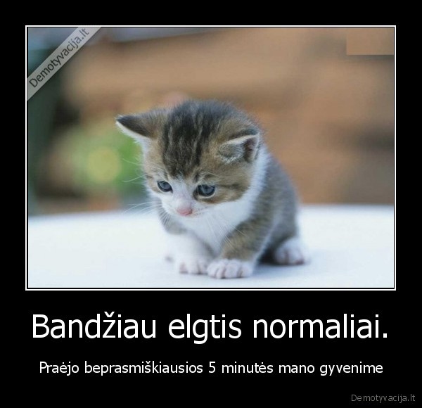 gyvenimas,normalus,kate