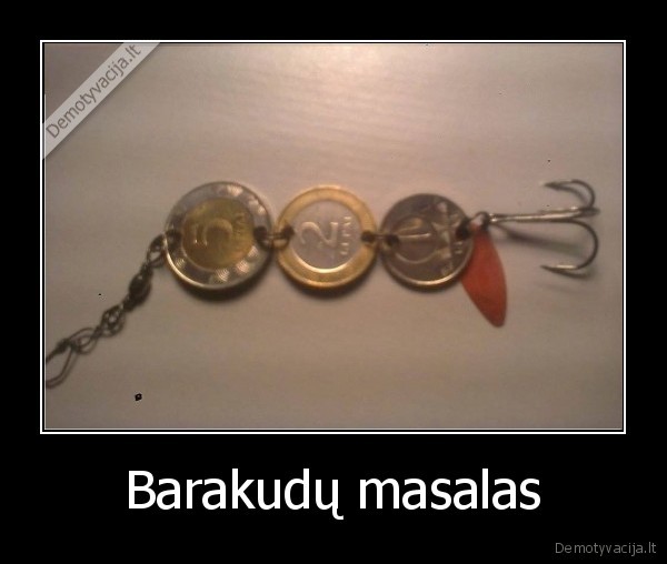 barakudos,spiningas,blizge,litai