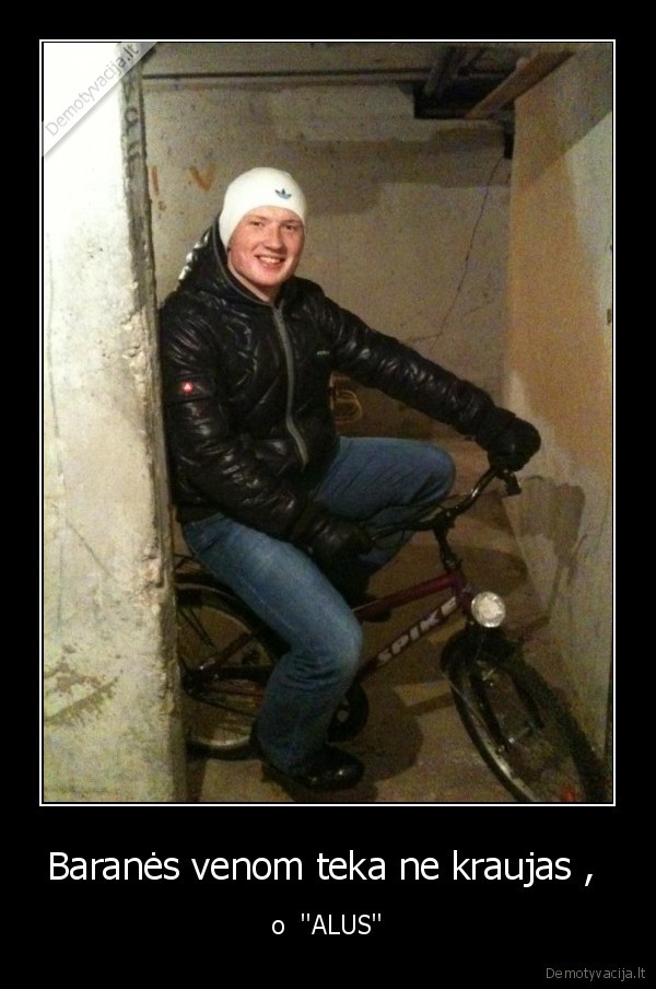 barane,alus,venos,spike,dviratis