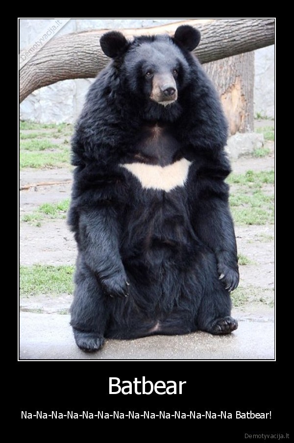 Batbear