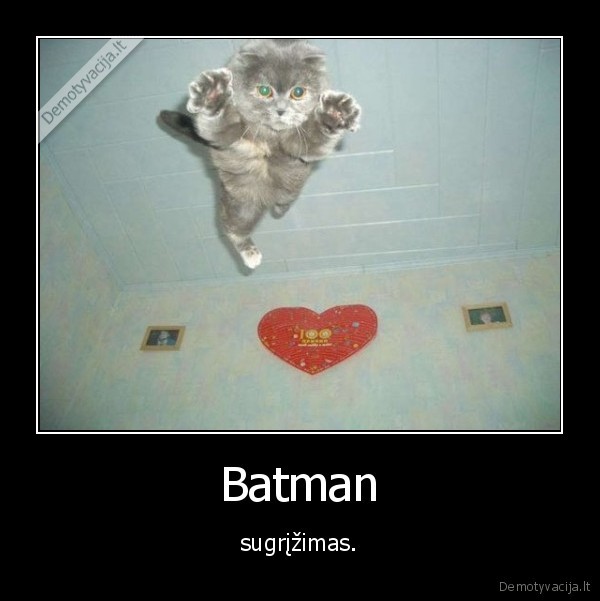 kubilius, irgi, moka, skraidyt